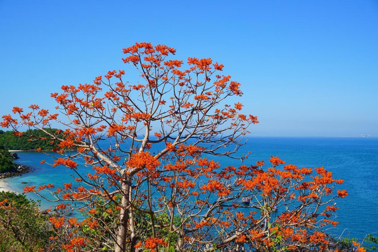 Tân Hiệ Cham Island Homestay Lau Thu מראה חיצוני תמונה