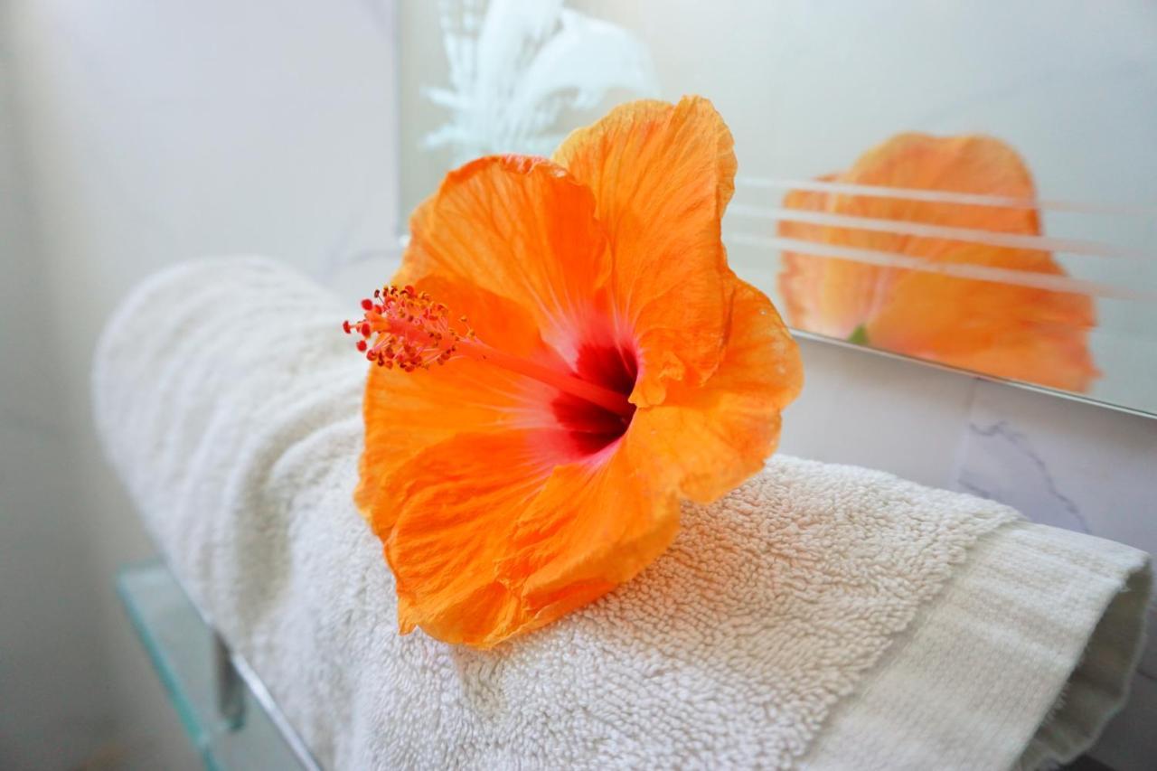 Tân Hiệ Cham Island Homestay Lau Thu מראה חיצוני תמונה